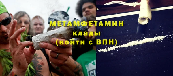 молекула духа Богданович