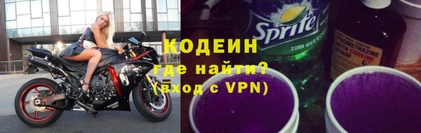 молекула духа Богданович