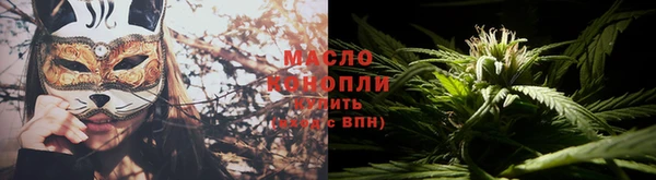 молекула духа Богданович