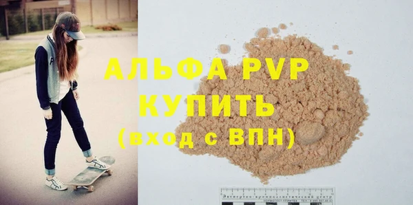 молекула духа Богданович