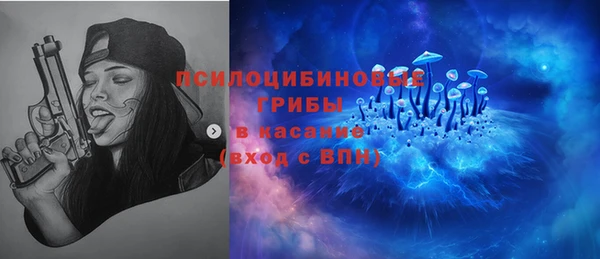 2c-b Богородск