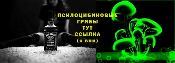 mdpv Богородицк