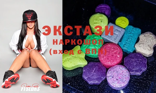 молекула духа Богданович
