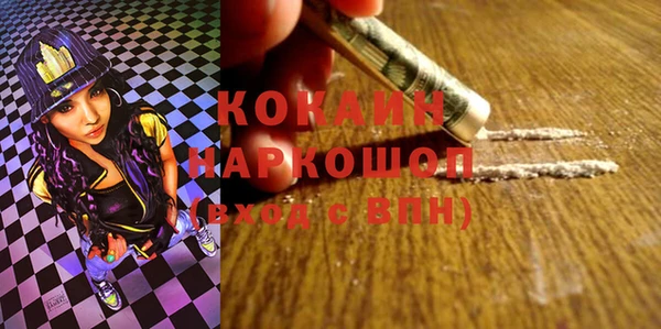 молекула духа Богданович
