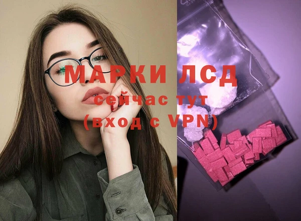 молекула духа Богданович