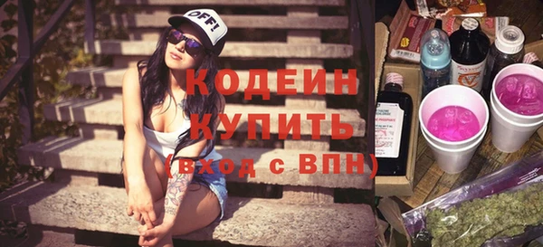 молекула духа Богданович