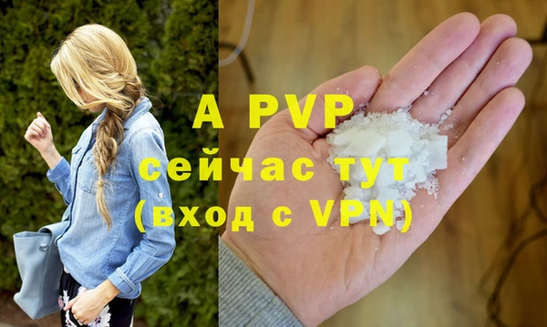 молекула духа Богданович