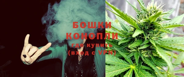 молекула духа Богданович