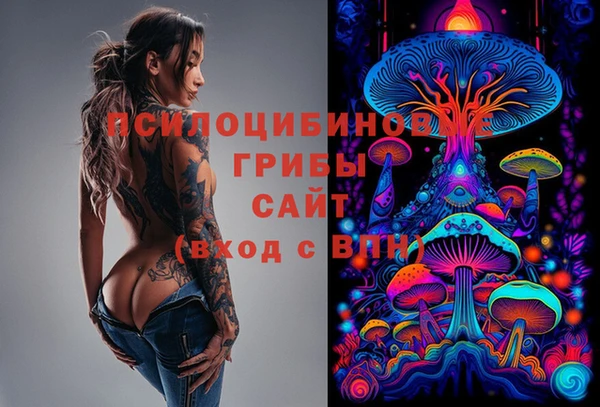 молекула духа Богданович
